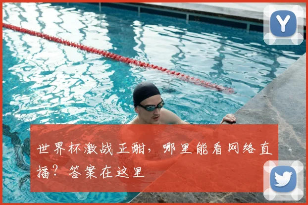 世界杯激战正酣,哪里能看网络直播?答案在这里