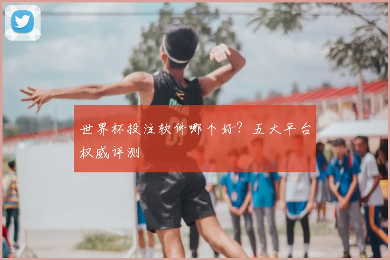 世界杯投注软件哪个好？五大平台权威评测