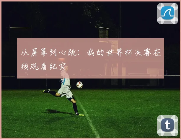从屏幕到心跳:我的世界杯决赛在线观看纪实