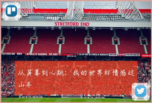 从屏幕到心跳:我的世界杯情感过山车