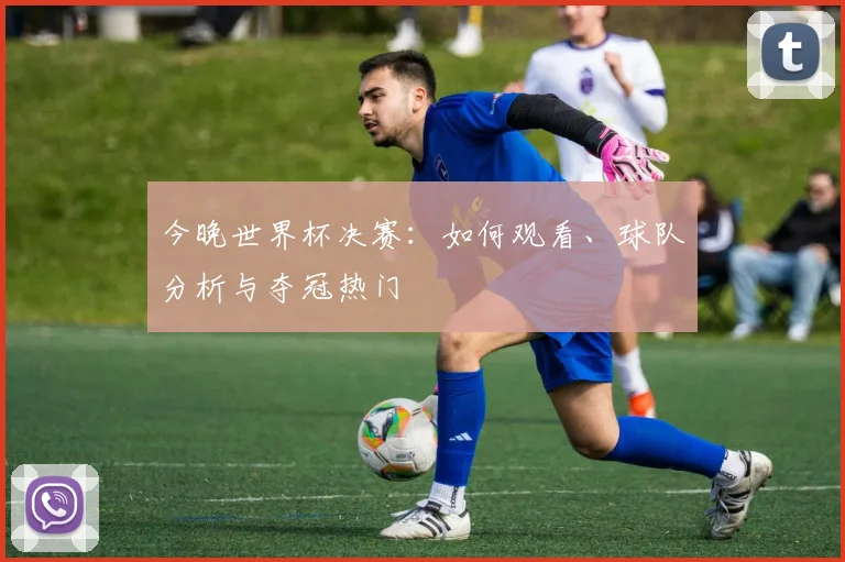 今晚世界杯决赛：如何观看、球队分析与夺冠热门