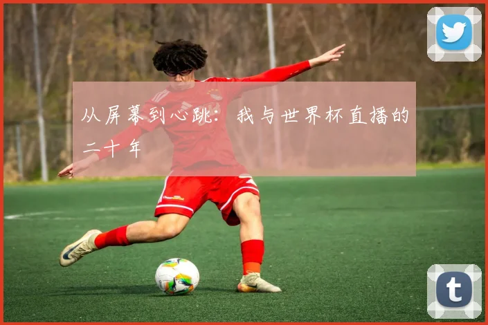 从屏幕到心跳:我与世界杯直播的二十年
