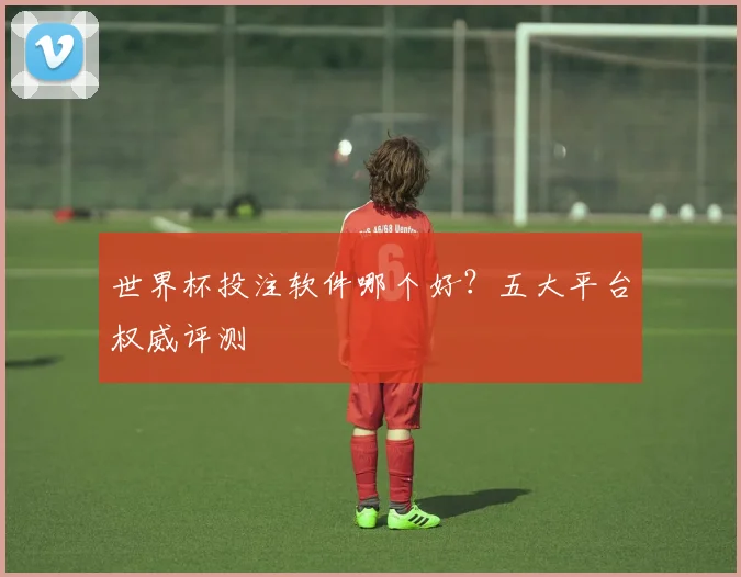 世界杯投注软件哪个好？五大平台权威评测