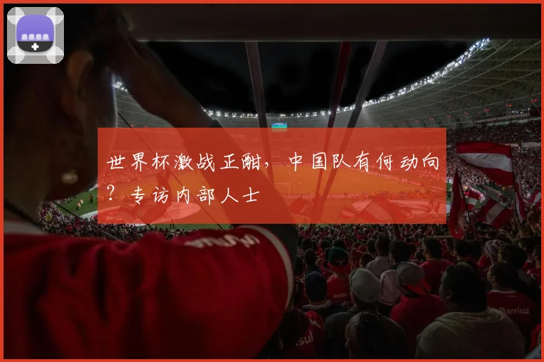 世界杯激战正酣，中国队有何动向？专访内部人士