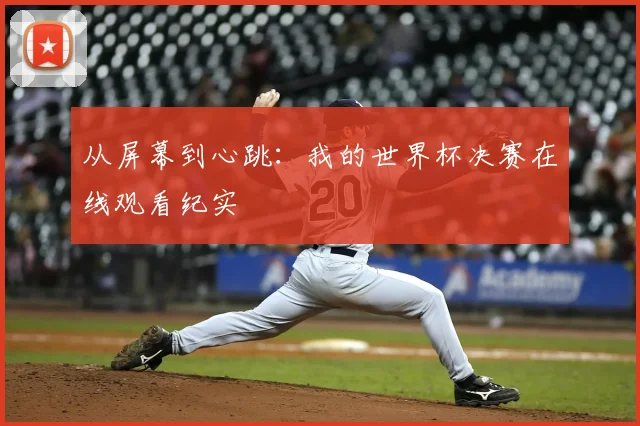 从屏幕到心跳:我的世界杯决赛在线观看纪实