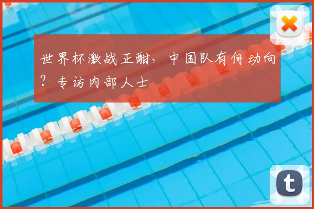 世界杯激战正酣，中国队有何动向？专访内部人士